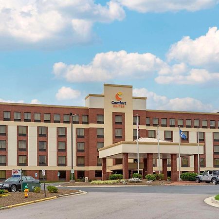 Comfort Suites Outlet Center Asheville Exterior foto